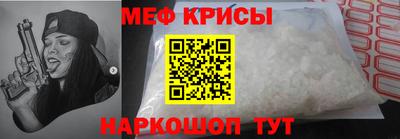 молекула духа Кингисепп