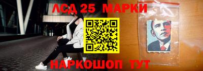 молекула духа Кингисепп