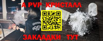 молекула духа Кингисепп
