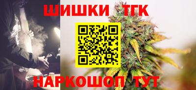 молекула духа Кингисепп