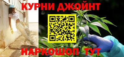 молекула духа Кингисепп