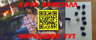 молекула духа Кингисепп