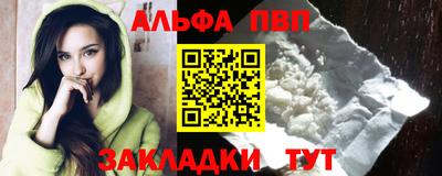 молекула духа Кингисепп