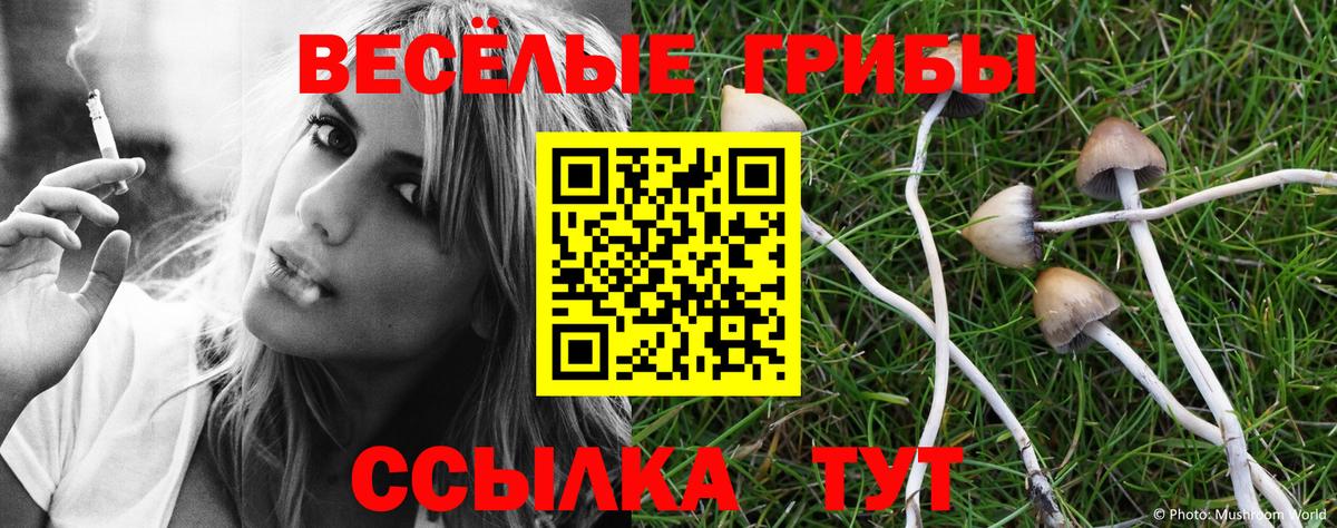 Псилоцибиновые грибы Psilocybine cubensis  Вход с VPN  Будённовск 