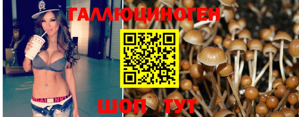 Галлюциногенные грибы GOLDEN TEACHER Будённовск